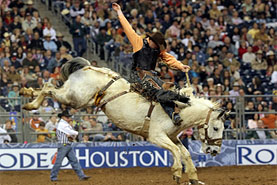 Houston Rodeo