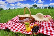 Picnic in the Park